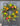 Fruit Wreath Collection