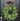 Modern Greenery