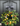 Fruit Wreath Collection