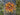 Fall & Autumn Wreaths