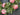 Summer Pink Geranium Wreath - TwoInspireYou