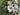Winter Magnolia Basket Arrangement - TwoInspireYou