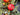 Autumn Honeycrisp Apple Wreath with Life-Size Fruit - TwoInspireYou