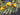 Golden Pear Fall Wreath with Life-Size Fruit - TwoInspireYou