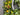 Spring Splendor Wreath with Oranges, Green Pears and Blueberries - TwoInspireYou