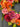 Bountiful Blooms Pumpkin Wreath with Peonies, Dahlias and Hydrangeas - TwoInspireYou