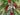 Holiday Pine Swag Teardrop Wreath with Red Berries - TwoInspireYou