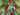 Holiday Pine Swag Teardrop Wreath with Red Berries - TwoInspireYou