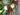 Magnolia Leaves Wreath for the Holiday Season - TwoInspireYou