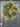 Holiday Pinecone Wreath - TwoInspireYou