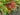 Christmas Fern Wreath with Red Berries and Plaid Bow - TwoInspireYou