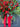Farmhouse Winter Fern and Red Berry Door Basket - TwoInspireYou
