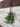 Classic Mistletoe Hanging Bundle – Faux Greenery with White Berries for Holiday Décor | - TwoInspireYou