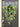 Winterberry Forest Cascade Wreath - TwoInspireYou