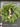 Norfolk Pine Wreath with Decorative Gold Hanging Bells - TwoInspireYou