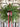 Evergreen Mini Wreath for Christmas, Set of 2 - TwoInspireYou