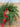 Evergreen Mini Wreath for Christmas, Set of 2 - TwoInspireYou