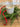 Evergreen Mini Wreath for Christmas, Set of 2 - TwoInspireYou