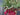Winter White Berry Christmas Basket Wreath - TwoInspireYou