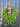Norfolk Pine Bell Wreath for Christmas - TwoInspireYou