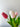 Effortless Gift Box for Valentine's Day - Everlasting Natural Touch Tulip Bouquet with Vase - TwoInspireYou