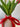 Effortless Gift Box for Valentine's Day - Everlasting Natural Touch Tulip Bouquet with Vase - TwoInspireYou