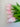 Effortless Gift Box for Valentine's Day - Everlasting Natural Touch Tulip Bouquet with Vase - TwoInspireYou
