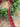 Buffalo Plaid Mini Greenery Wreath for Christmas, Set of 2 - TwoInspireYou