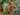 Poinsettia and Pinecone Christmas Wreath - TwoInspireYou