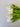 Effortless Gift Box for Valentine's Day - Everlasting Natural Touch Tulip Bouquet with Vase - TwoInspireYou