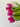Effortless Gift Box for Valentine's Day - Everlasting Natural Touch Tulip Bouquet with Vase - TwoInspireYou
