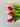 Effortless Gift Box for Valentine's Day - Everlasting Natural Touch Tulip Bouquet with Vase - TwoInspireYou