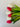 Effortless Gift Box for Valentine's Day - Everlasting Natural Touch Tulip Bouquet with Vase - TwoInspireYou