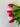 Effortless Gift Box for Valentine's Day - Everlasting Natural Touch Tulip Bouquet with Vase - TwoInspireYou