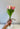 Pink & Cream Tulip Bouquet Bundle - TwoInspireYou