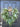 Winter Pine and Eucalyptus Wreath for Front Door - TwoInspireYou