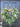 Winter Pine and Eucalyptus Wreath for Front Door - TwoInspireYou