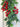 Holly Berry Garland - TwoInspireYou