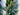 Winter Pinecone and Bay Leaf Forest Garland - TwoInspireYou
