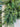 Deluxe Appalachian Pine Garland - TwoInspireYou