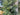 Deluxe Appalachian Pine Garland - TwoInspireYou