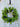 Mini Boxwood Window Wreath for Christmas - TwoInspireYou