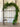 Norfolk Pine Garland Natural Touch Winter Greenery - TwoInspireYou