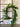 Norfolk Pine Garland Natural Touch Winter Greenery - TwoInspireYou
