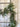 Frosted Magnolia Pine and Juniper Garland - TwoInspireYou