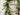 Spruce Pine Garland - TwoInspireYou