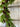Tropical Christmas Pinecone Garland - TwoInspireYou