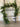Mixed Georgia Pine Garland with Pinecones - TwoInspireYou