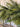 Deluxe Appalachian Pine Garland - TwoInspireYou