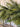Deluxe Appalachian Pine Garland - TwoInspireYou